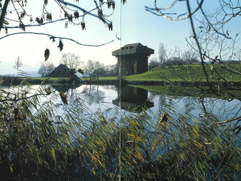 Zeitplatz CoWorking Am Burgweiher-Park St. Gallen, photo 6
