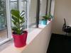 WTC - Coworking