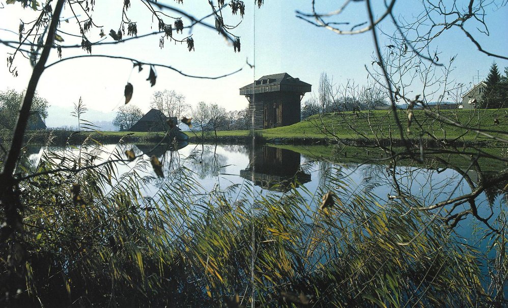 Zeitplatz CoWorking Am Burgweiher-Park St. Gallen, photo 6
